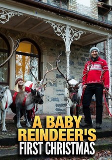 První Vánoce malého soba