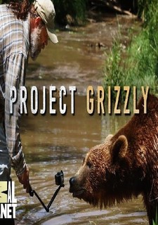 Projekt Grizzly