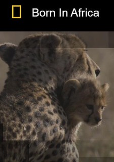 Born In Africa