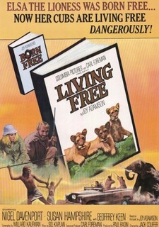 Divočina patří lvům