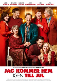 Na Vánoce přijedu domů