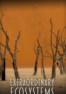 Neobyčejné ekosystémy