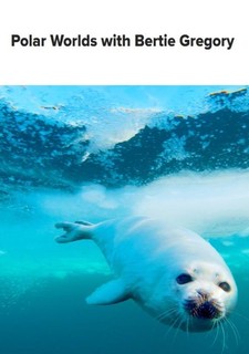 Polární světy s Bertiem Gregorym