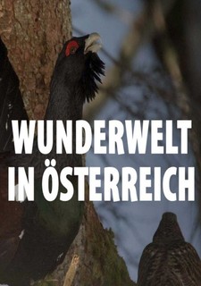 Universum: Život v "Mŕtvom pohorí"