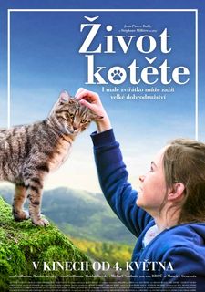 Život kotěte