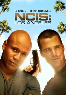 Námořní vyšetřovací služba LA