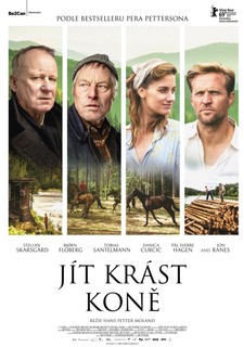 Jít krást koně