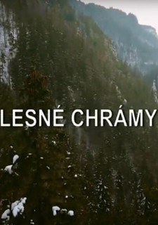 Lesné chrámy