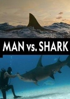 Člověk proti žralokům