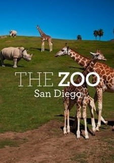 Zoo: San Diego