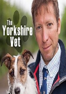 The Yorkshire Vet