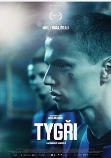Tygři
