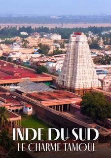 Jižní Indie, kouzlo Tamilnádu