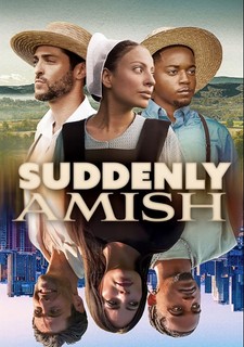 Jak se stát amišem