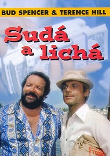 Sudá a lichá