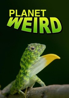 Nevšední zvířata na naši planetě