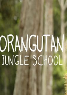 Orangutaní škola v džungli