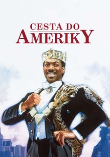 Cesta do Ameriky