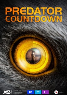 Predátoři a jejich strategie