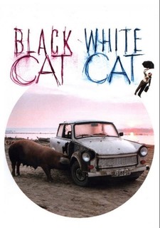 Černá kočka, bílý kocour