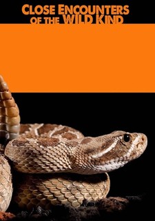 Close Encounters of the Wild Kind