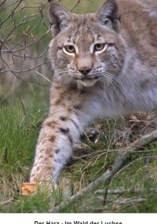 Kouzelné hory v srdci Německa