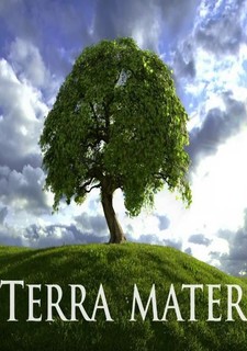 Pohled z ptačí perspektivy