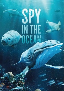 Zvířecí špioni pod hladinou