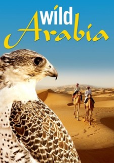 Wild Arabia