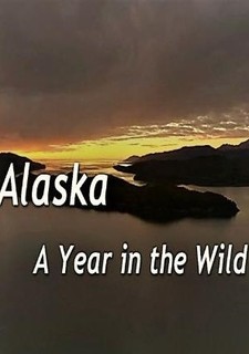 Aljaška: Rok v divočině