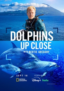 Delfíni zblízka s Bertiem Gregorym