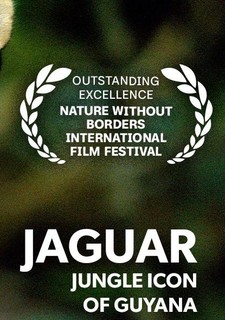 Jaguár: Ikona guyanské džungle