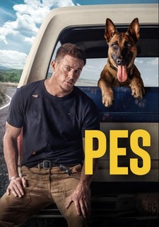 Zábavná psí cesta