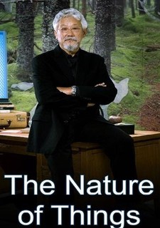 Barvy v našem životě