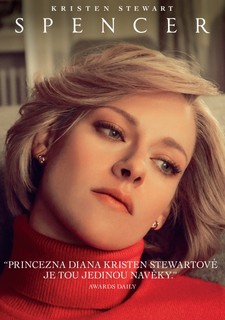 Princezna D
