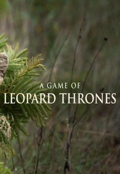 A Game of Leopard Thrones