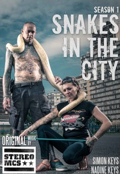 Snakes in the City