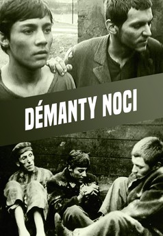 Démanty noci