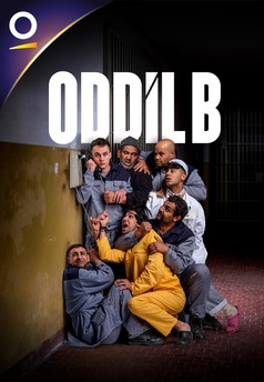 Oddíl B