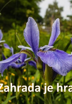 Zahrada je hra