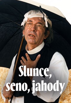 Slunce, seno, jahody