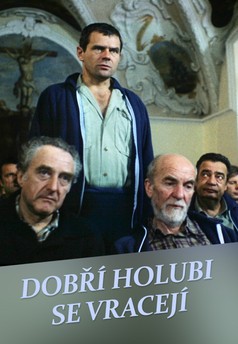 Dobří holubi se vracejí