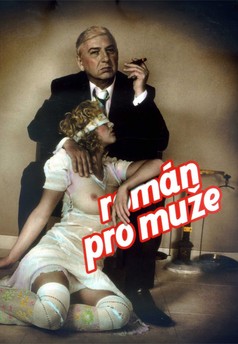 Román pro muže