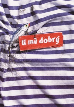 U mě dobrý