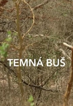 Temná buš