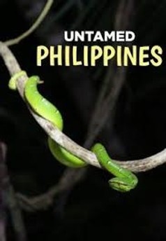Nezkrocené Filipíny