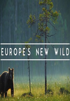 Nová divočina Evropy