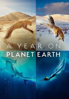 A Year on Planet Earth