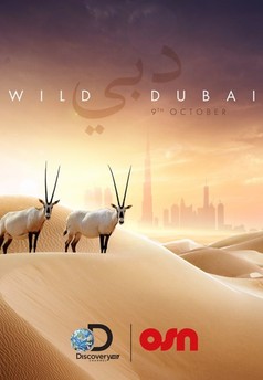 Úžasná zvířata Dubaje