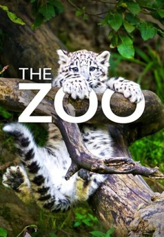 Zoo